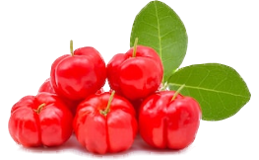 ЭКСТРАКТ АЦЕРОЛЫ