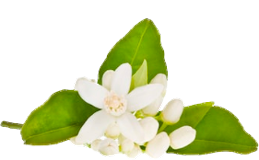 Цветочная вода (лавандовая, нероли)